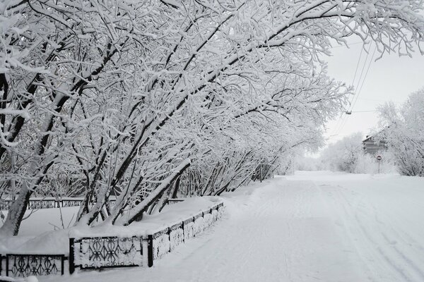 Hiver neigeux dans la rue de la ville