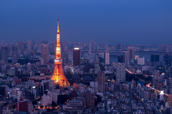 Nacht in Tokio. Panorama