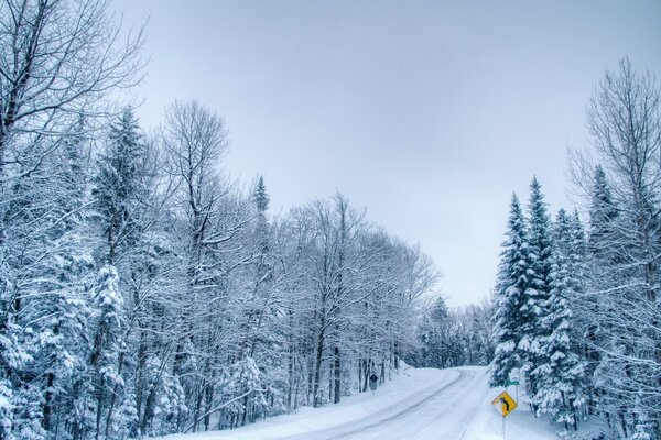 Cloudy winter road with frost on the trees