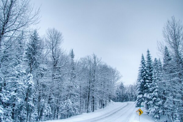 Pochmurna zimowa droga z szronem na drzewach