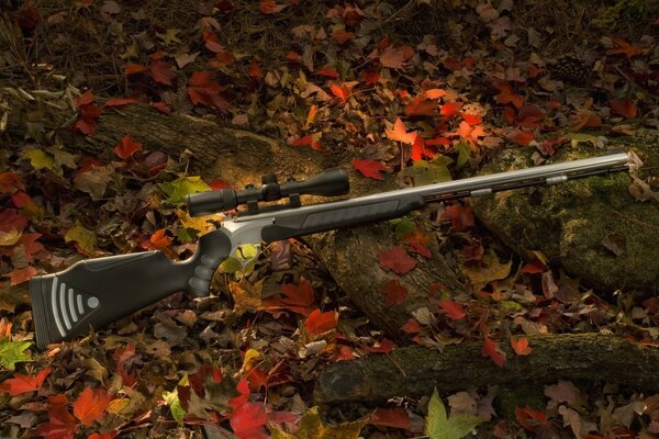 Rifle hunting in the autumn forest