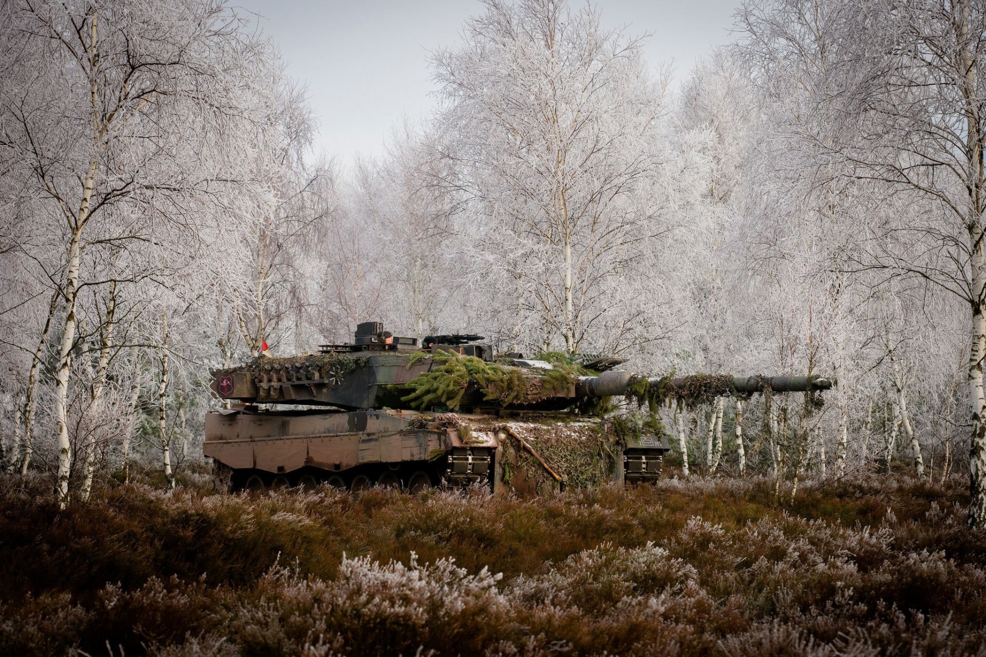 tree war grass tank