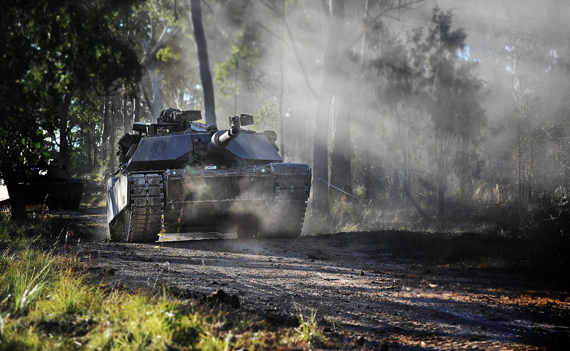 carro armato stati uniti foresta equipaggiamento militare