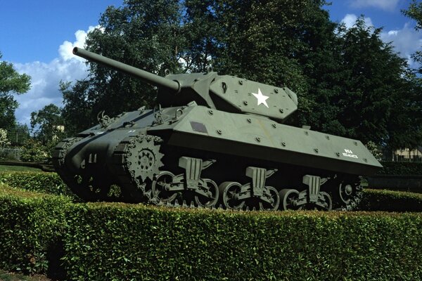 British infantry tank on the grass
