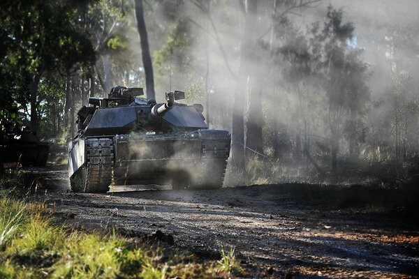 Equipo militar se mueve por el bosque