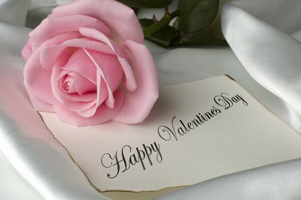 Happy Valentine s day pink rose