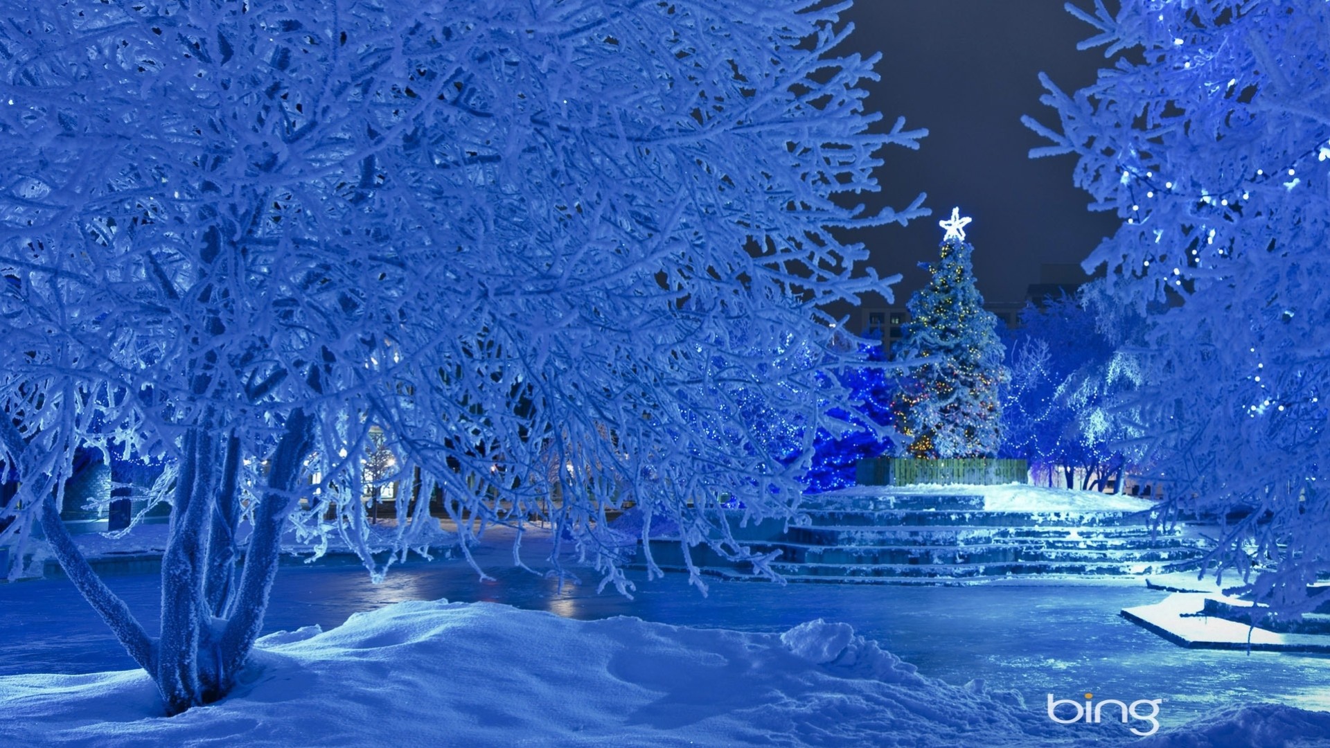 árbol de navidad nieve año nuevo