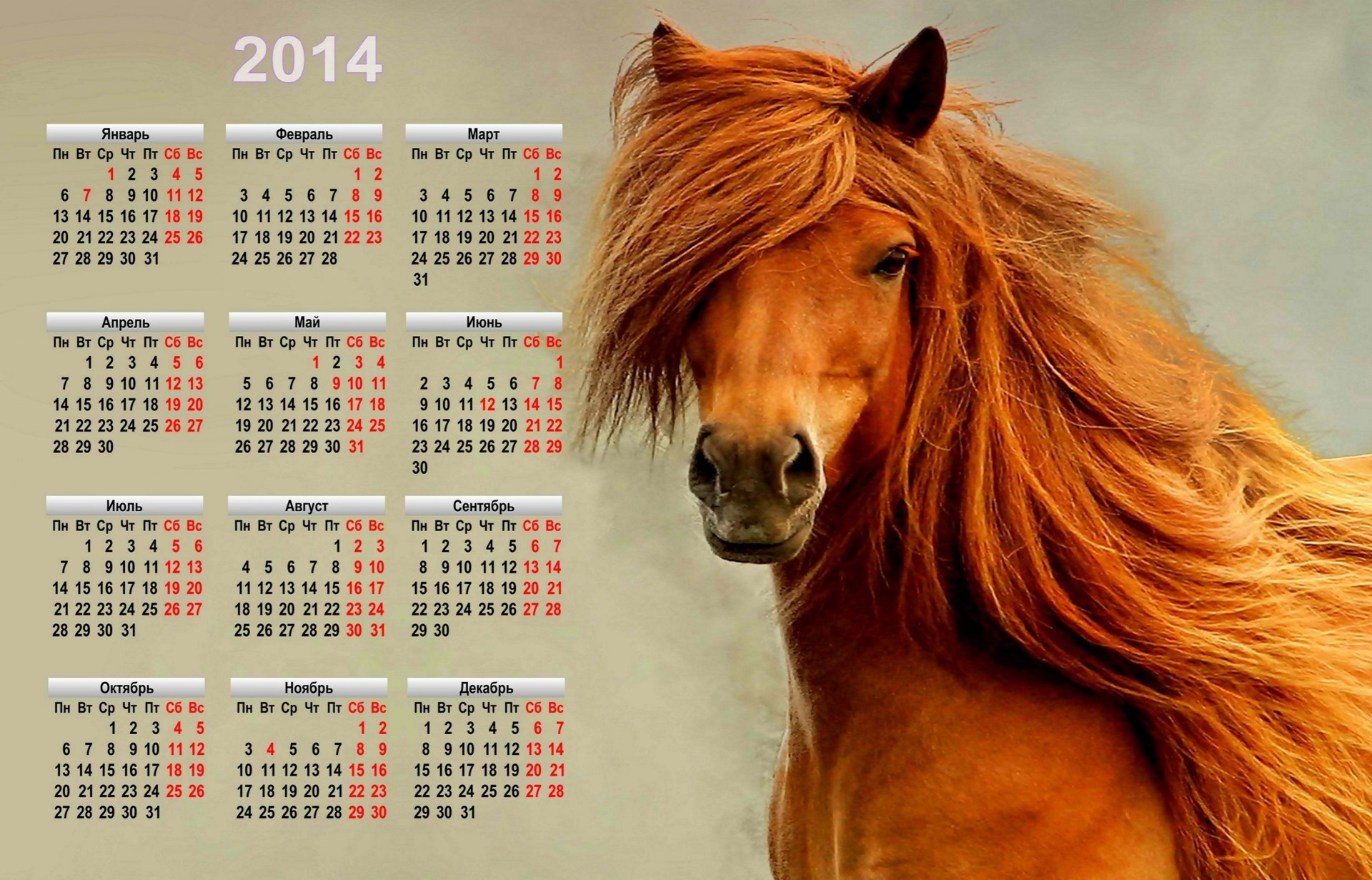 neujahr kalender feiertag symbol pferd 2014