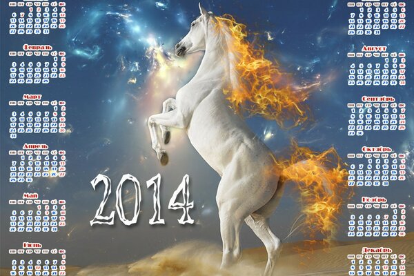 Calendario di Capodanno 2014 con cavallo bianco