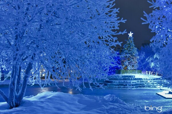 Blauer, eisiger Abend im glitzernden Schnee