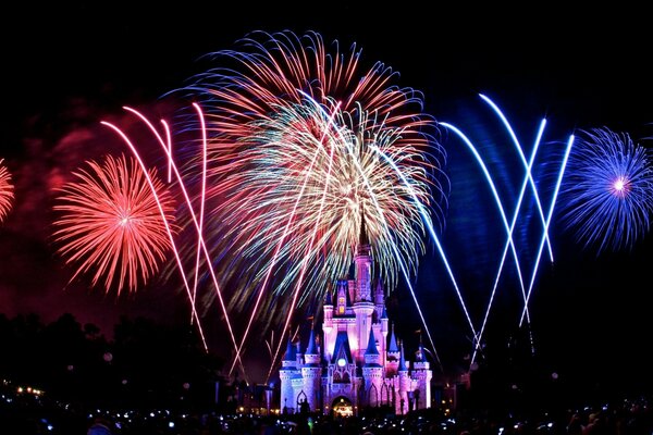Disney Castle in den Lichtern eines Feuerwerks