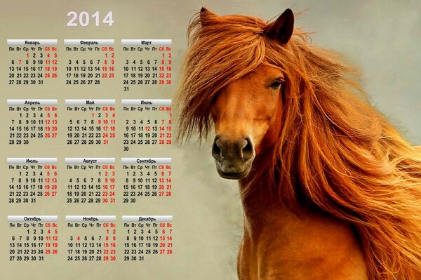 Simbolo del calendario 2014