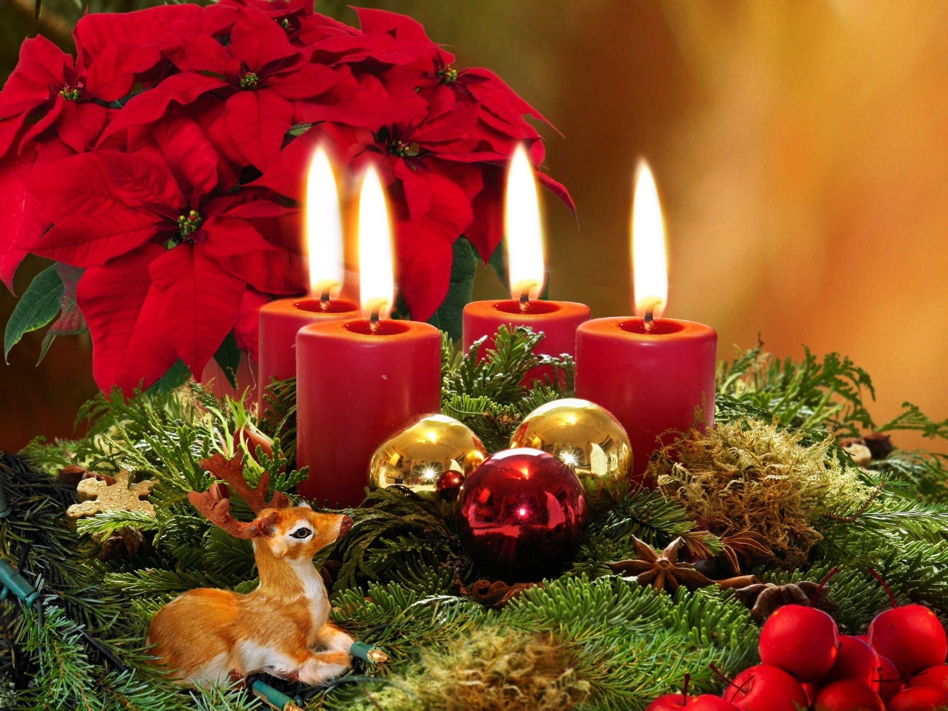 palm balls new year poinsettia deer christmas puansetiya flower branches candle