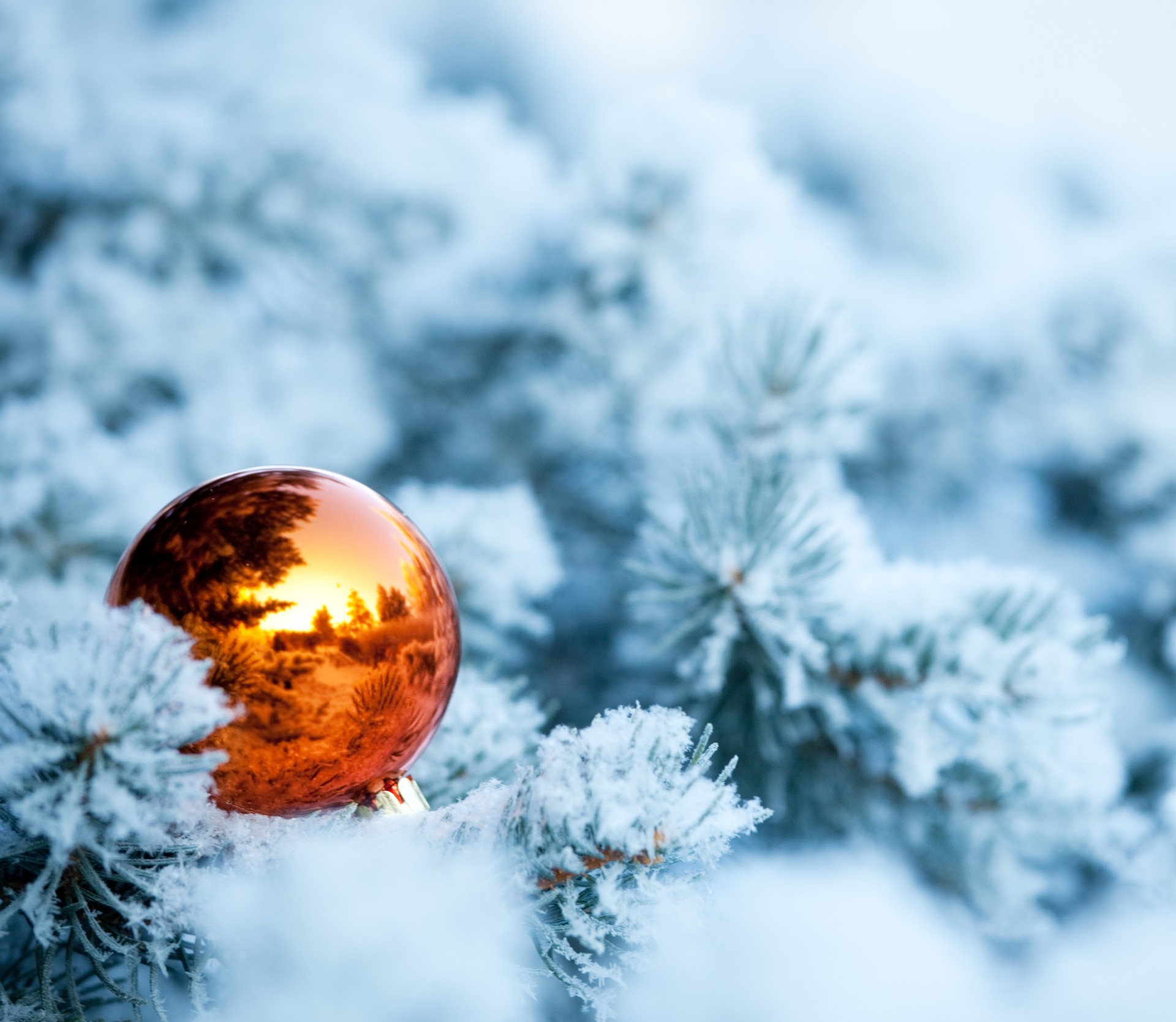 árbol de navidad abeto bola nieve ramas invierno