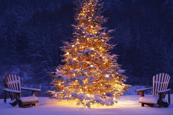 Sapin de Noël et chaises dans la neige