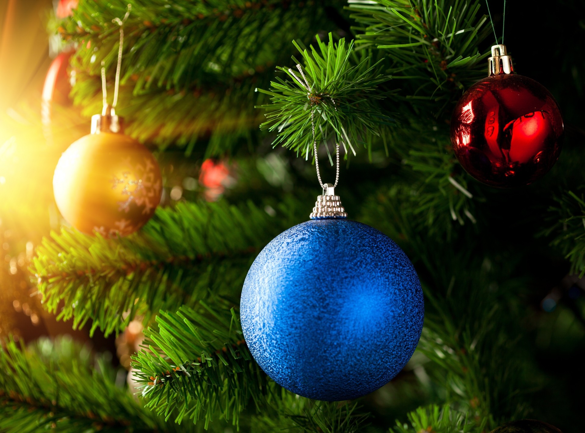 christmas tree ball christmas blue branches gold new year red