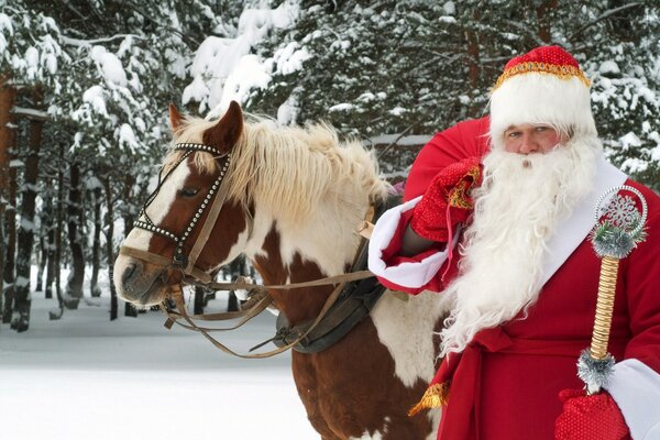 Santa Claus and a horse in the winter forest