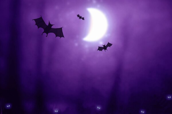 Magical bats under the moon