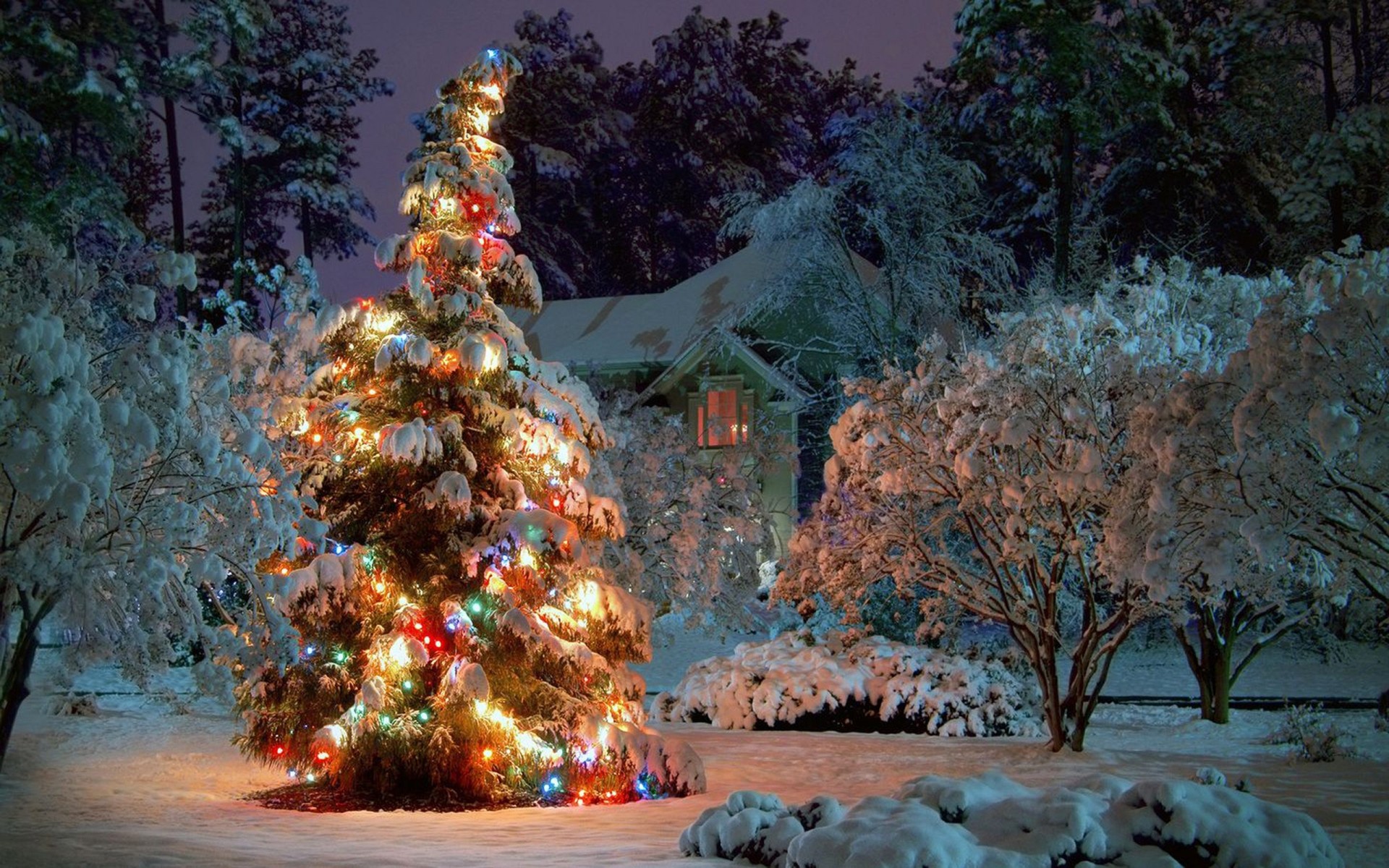 weihnachtsbaum girlanden schnee haus neujahr