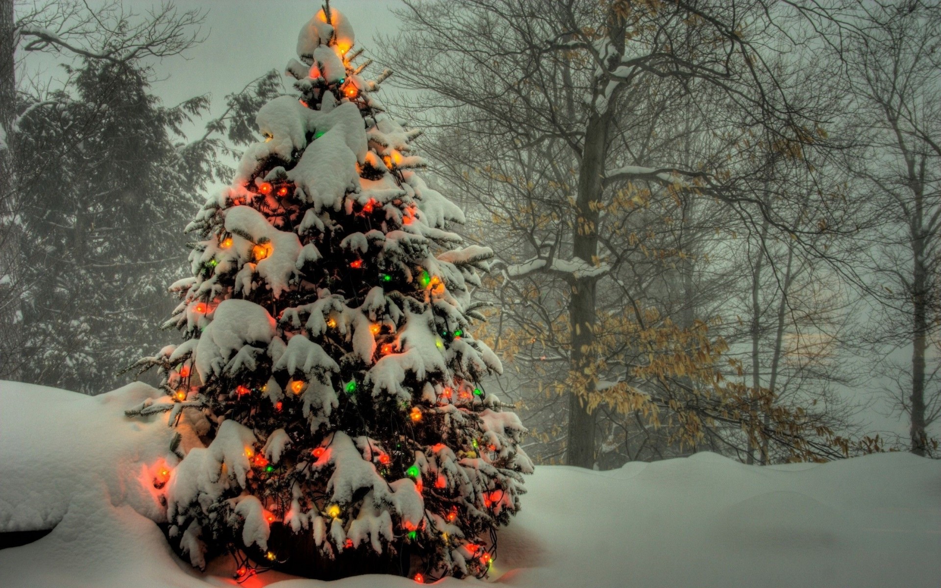 albero di natale luci natale capodanno vacanza foresta ghirlanda neve