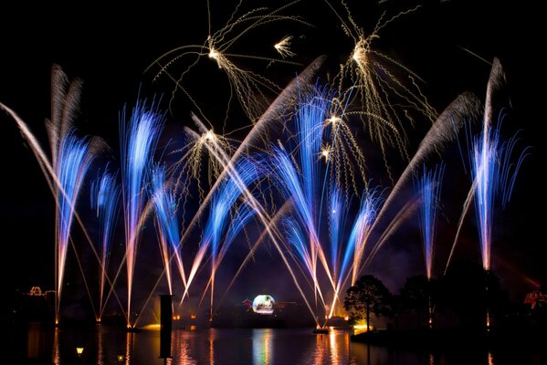 Fuochi d artificio notturni nel Magic Kingdom