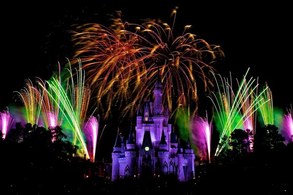 Fireworks in the night magic kingdom