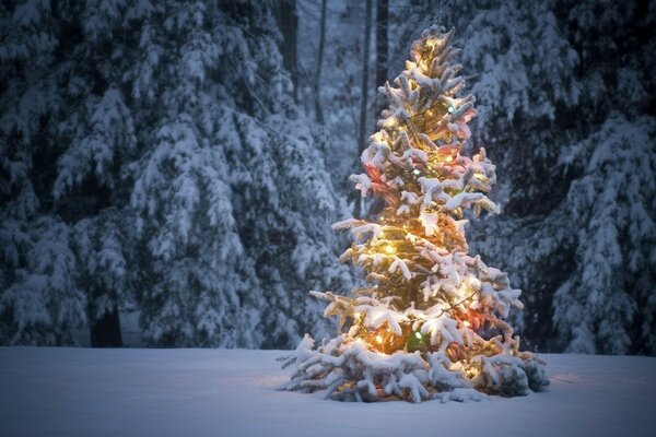 Mit Girlanden geschmückter Weihnachtsbaum im Winterwald