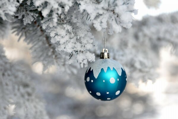 Weihnachtskugel auf einem schneebedeckten Tannenzweig