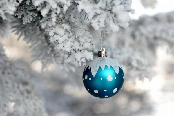 Bola de año nuevo en una rama de abeto cubierto de nieve