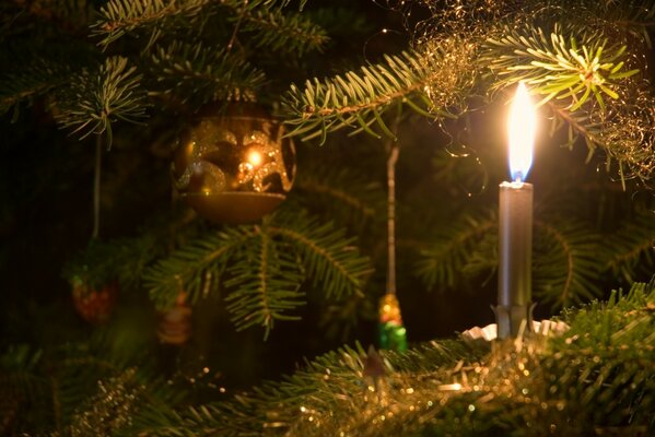 Candela pericolosa sull albero di Natale