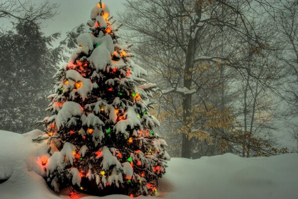 A snow-covered Christmas tree decorated with a garland. Fabulously beautiful