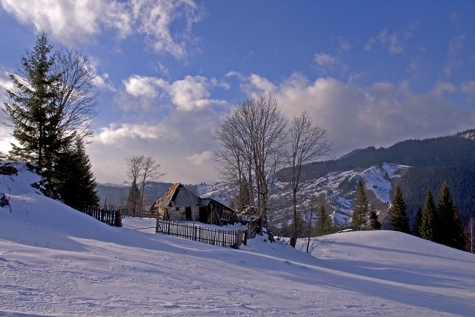 landscape tree house snow mountain winter romania