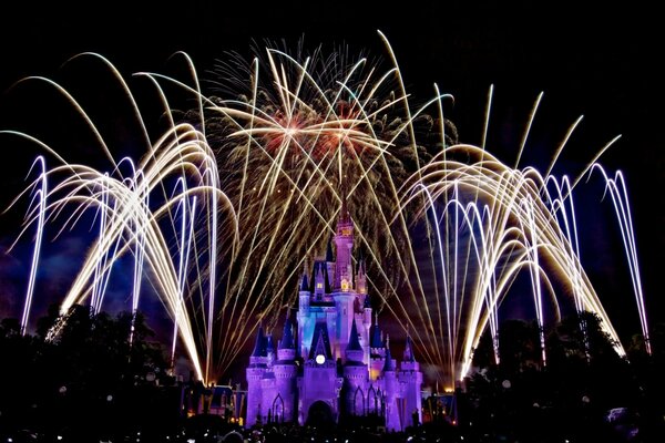 Night fireworks and Christmas tree toys in the magic kingdom - Disney