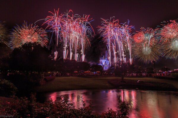 Paesaggio vivido nel Magic Kingdom Disney