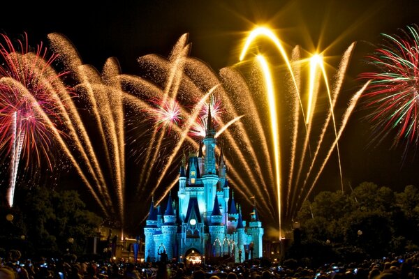 Fireworks over the magic kingdom at Disney