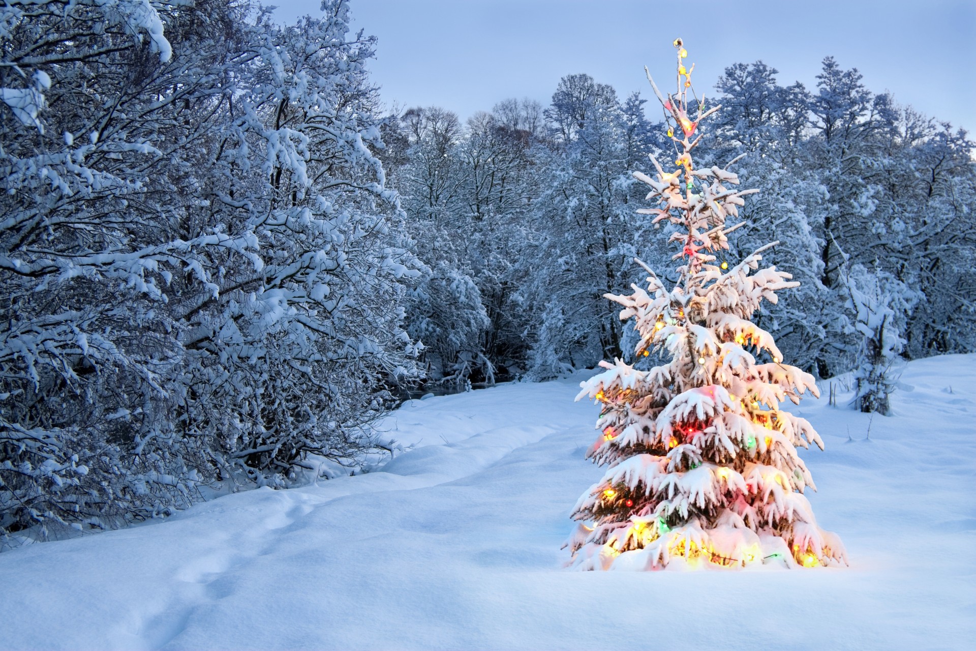 árbol de navidad nuevo año