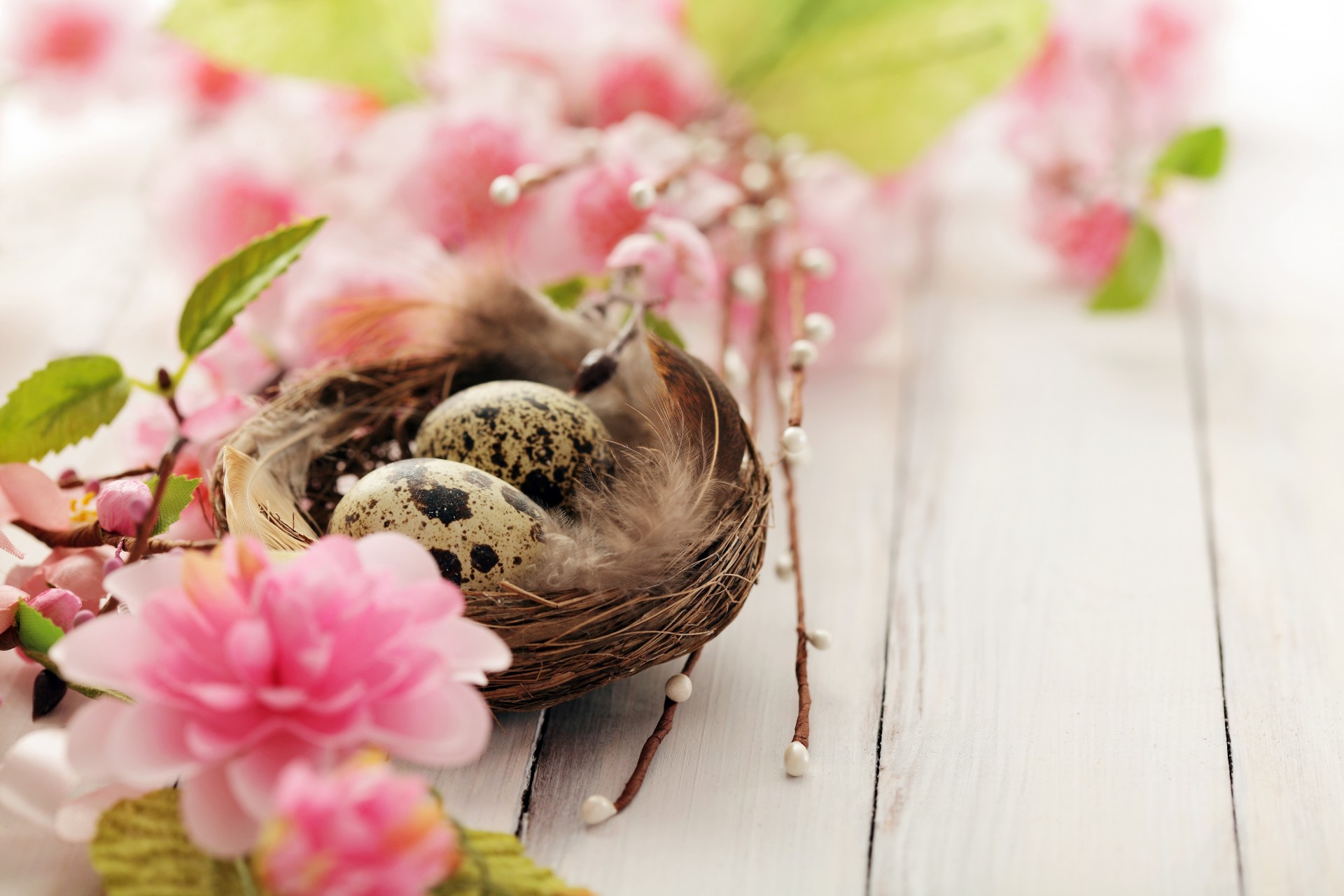 nest quail flower egg