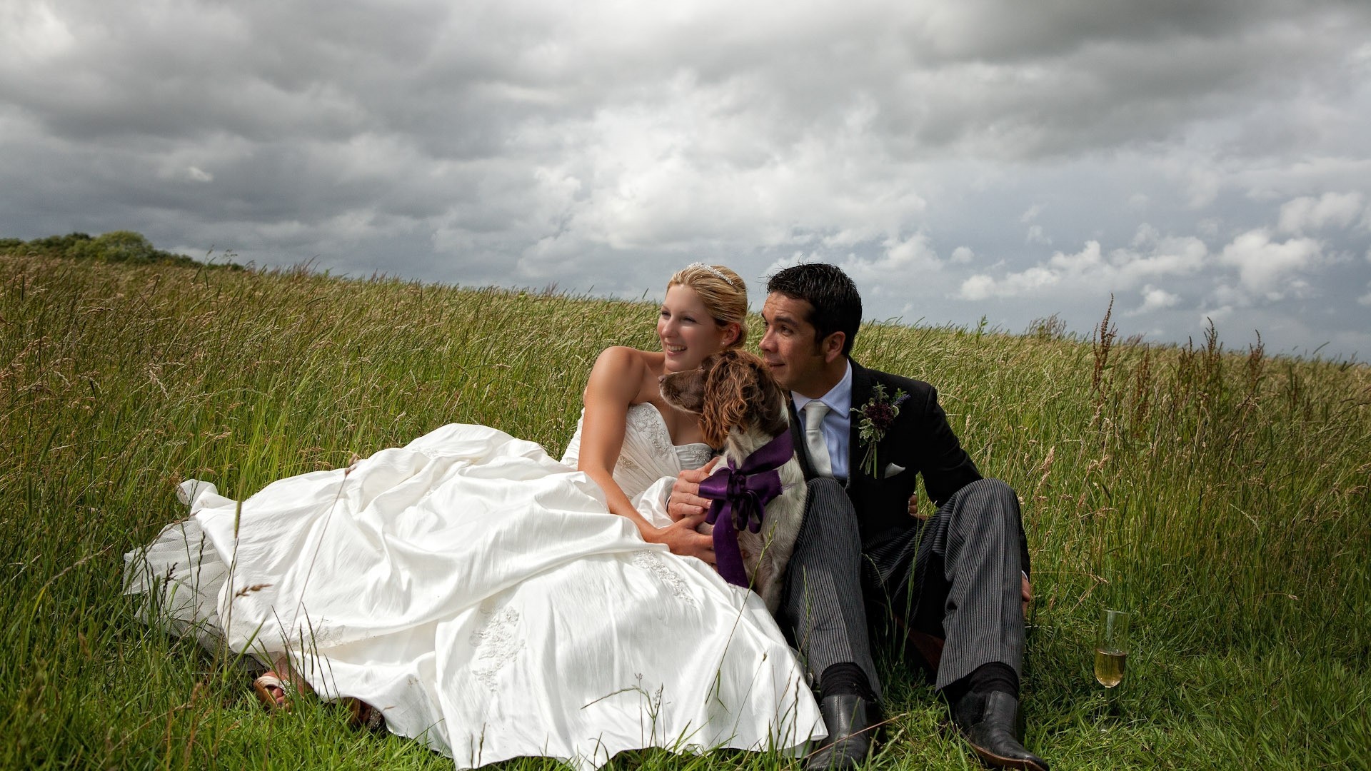 happiness two dog glass wedding mood the field