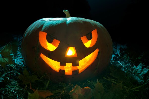 Historias de terror dulces de calabaza de vacaciones