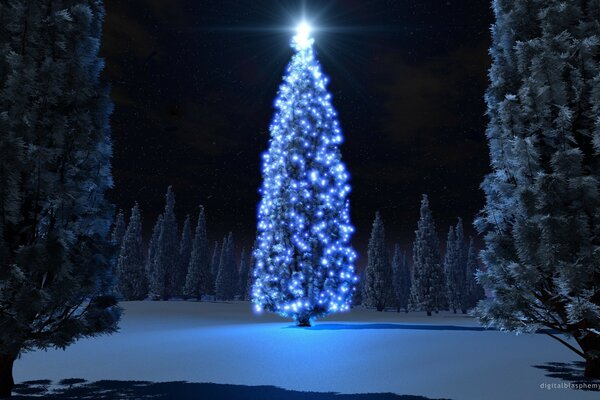 Por la noche, las linternas se encienden en el árbol de Navidad
