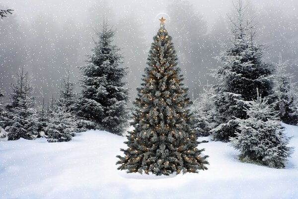 Weihnachtsbaum in einer Girlande im Schnee neben anderen Weihnachtsbäumen