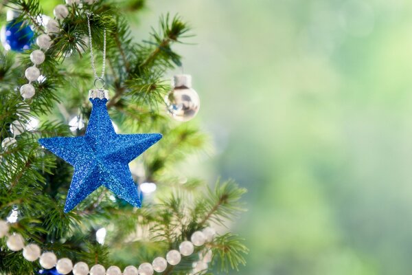 Blauer Stern auf der Tanne des Neujahrs