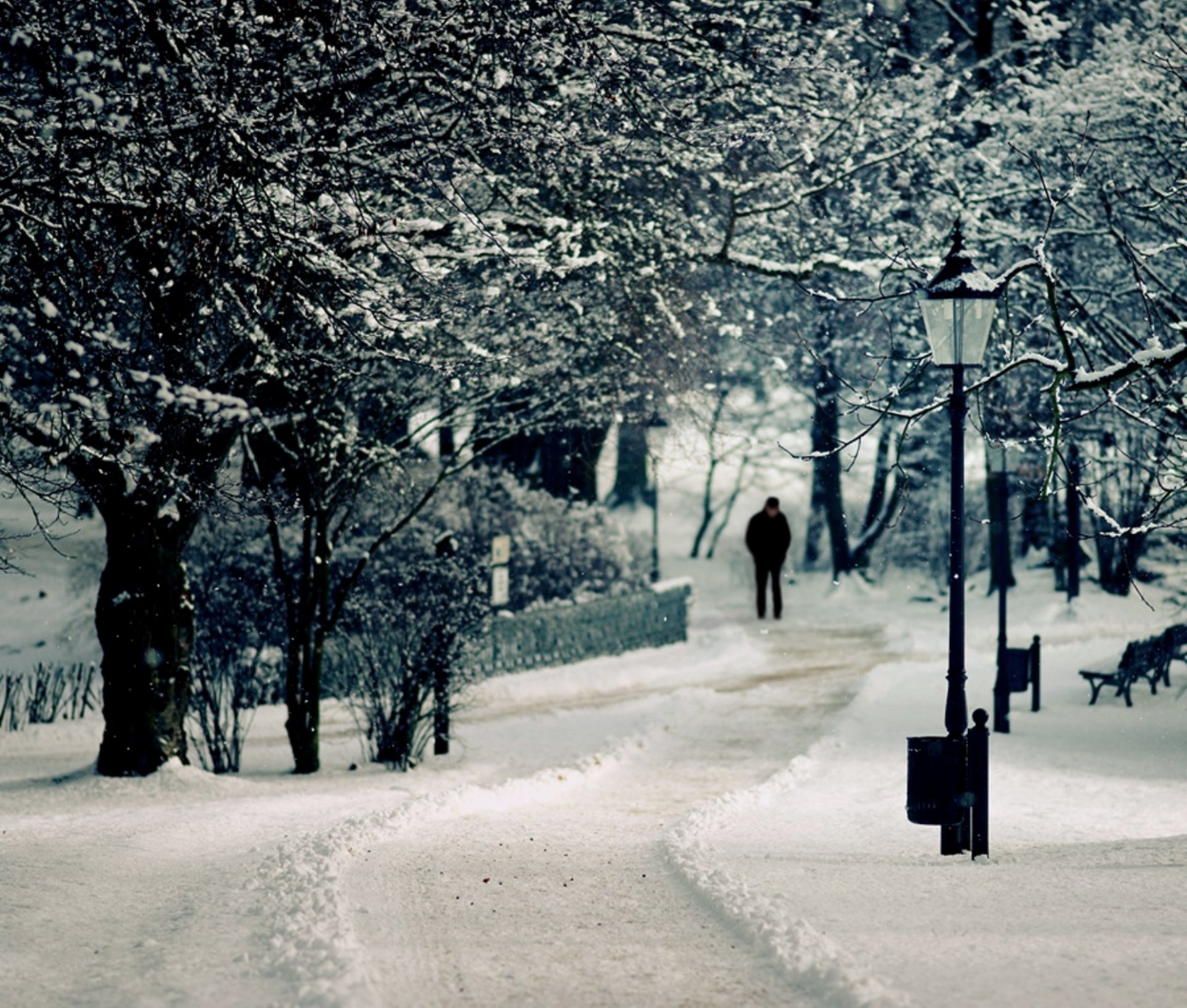 zama neige lanterne arbre homme banc