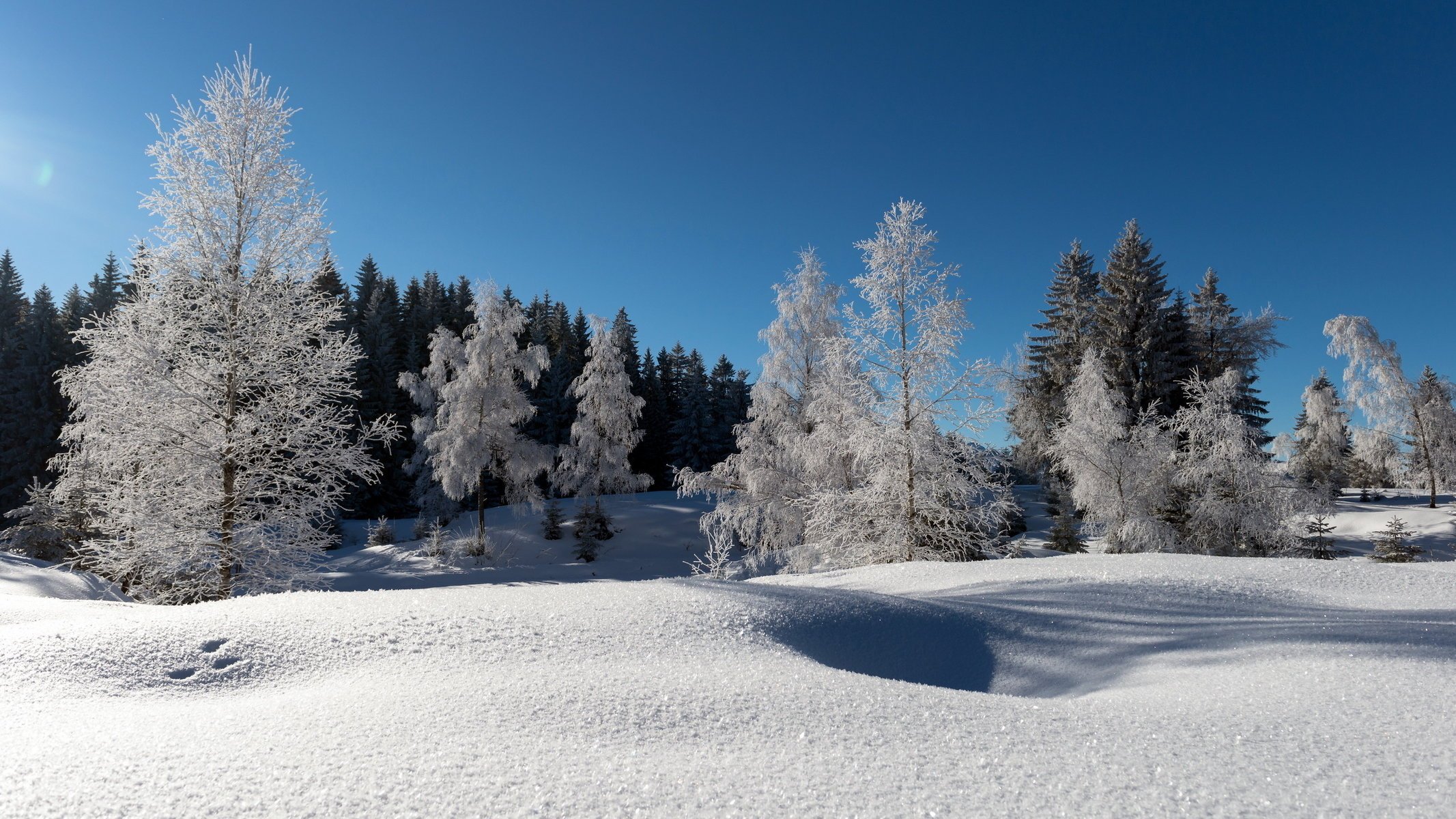 inverno paesaggio natura