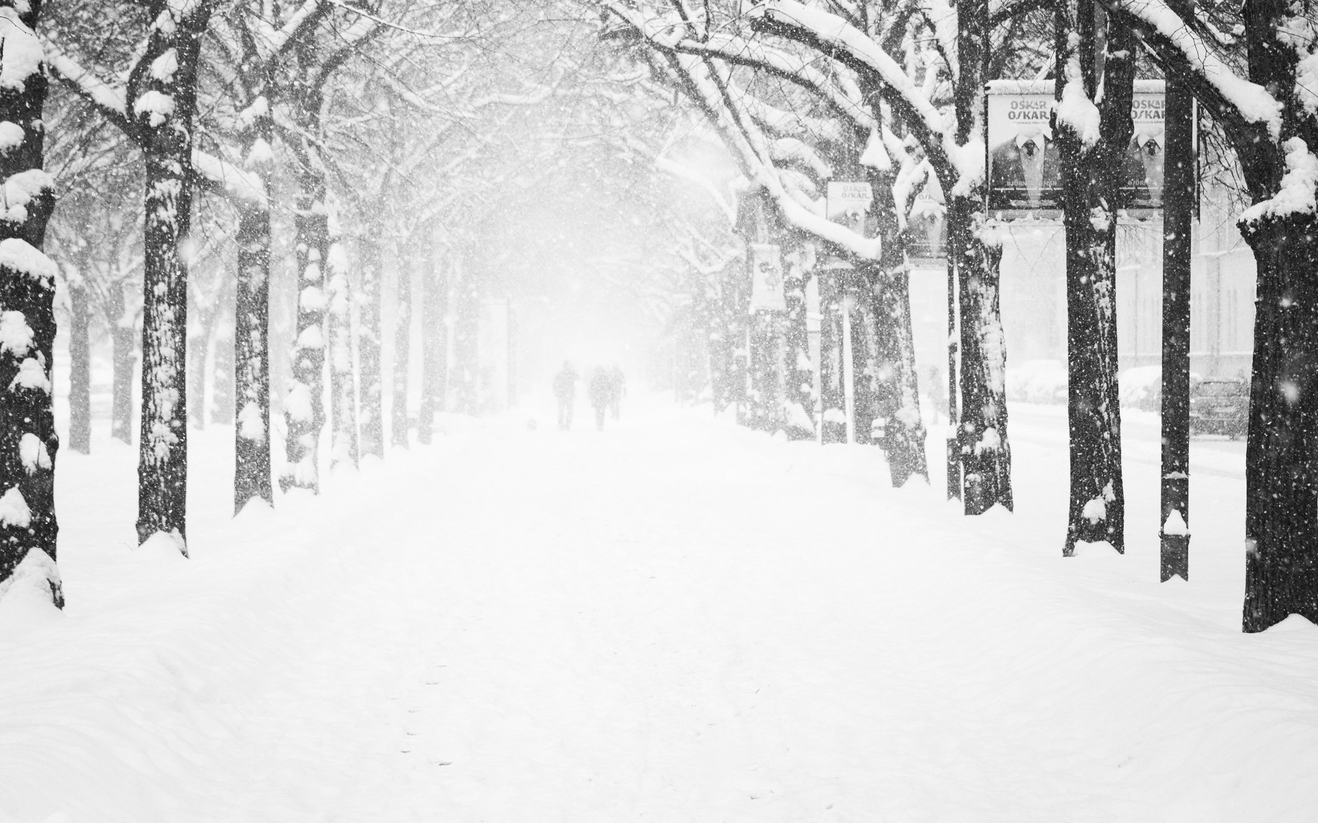 cities street streets new year wallpaper new year alley alleys road roads parks tree trees winter winter wallpaper wallpaper with winter winter nature snowfall snowflake snowflakes blizzard blizzard frost cold frost people residents man guy girl