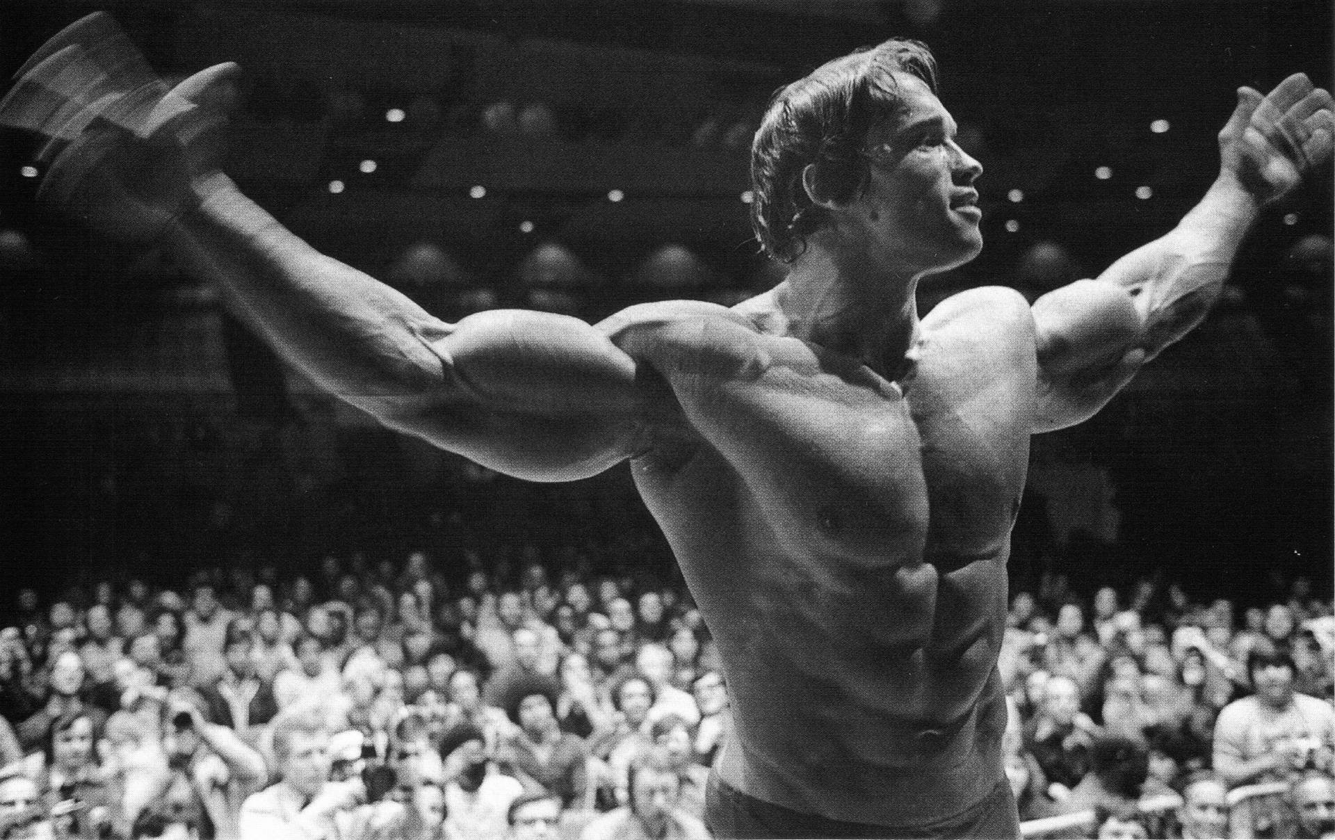 arnold schwarzenegger mann schauspieler arnold schwarzenegger