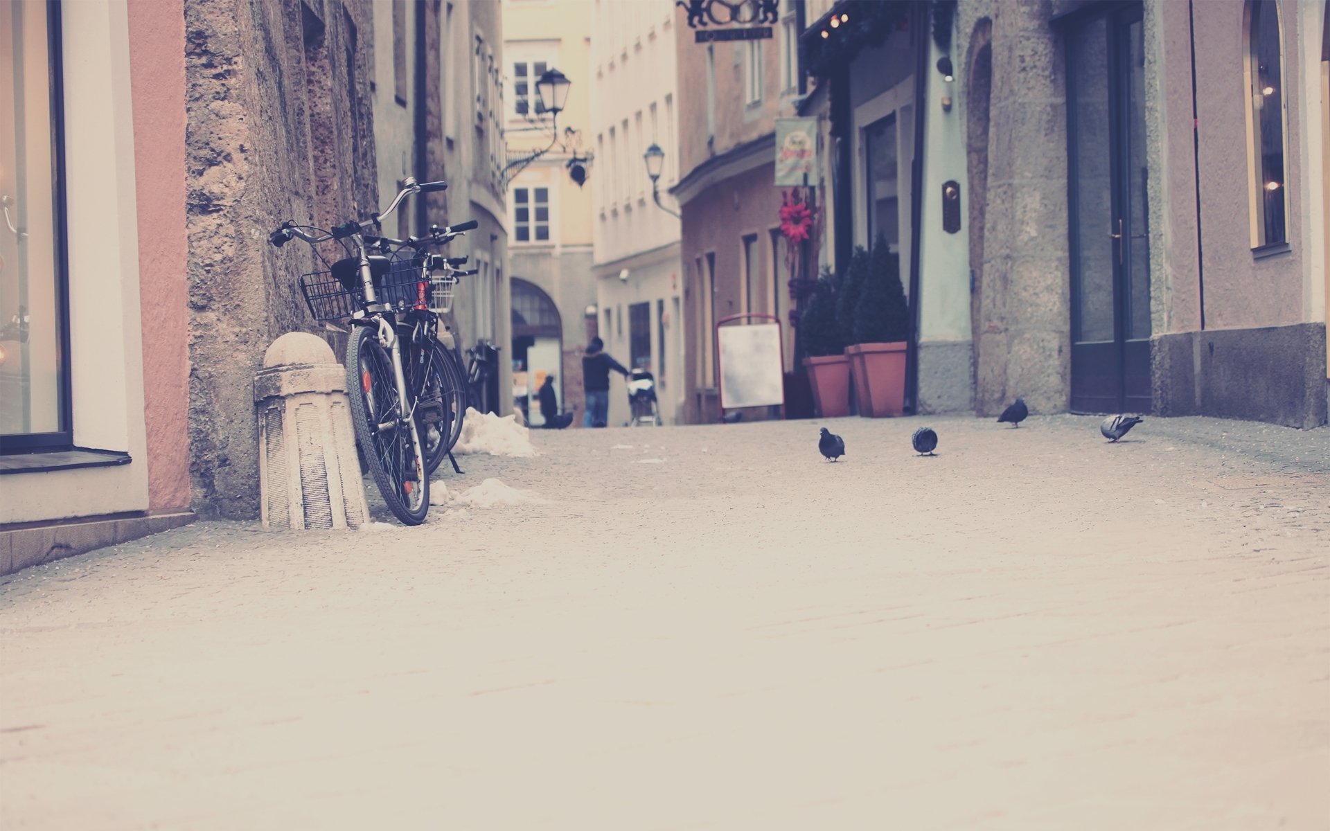 city street houses bicycle stands sidewalk path pigeons birds desktop wallpapers desktop wallpapers wallpapers photo