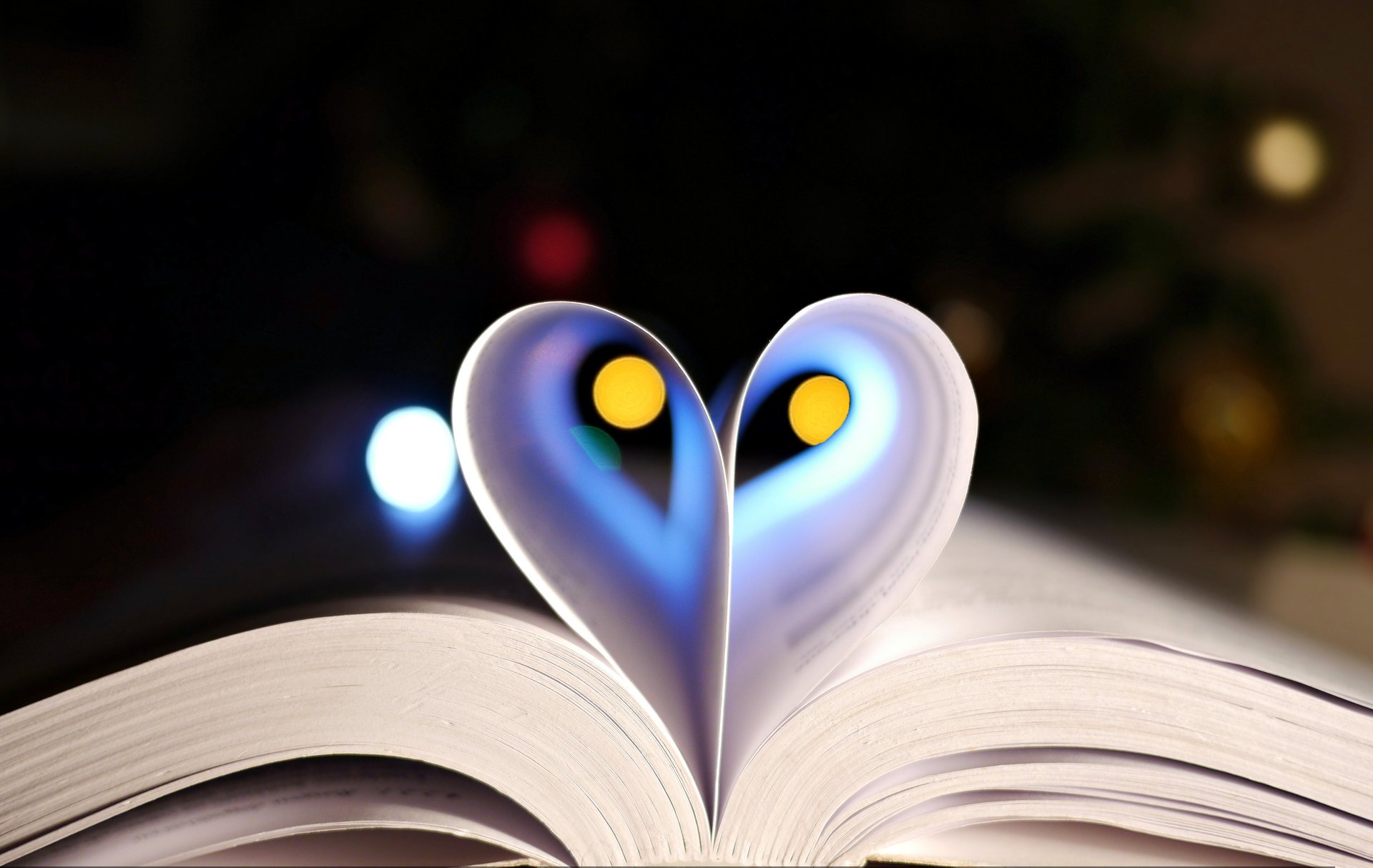 libro fogli pagine bokeh cuore