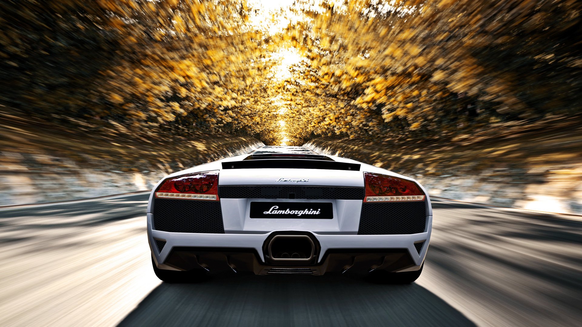 lp640 дорога murcielago деревья lamborghini скорость осень