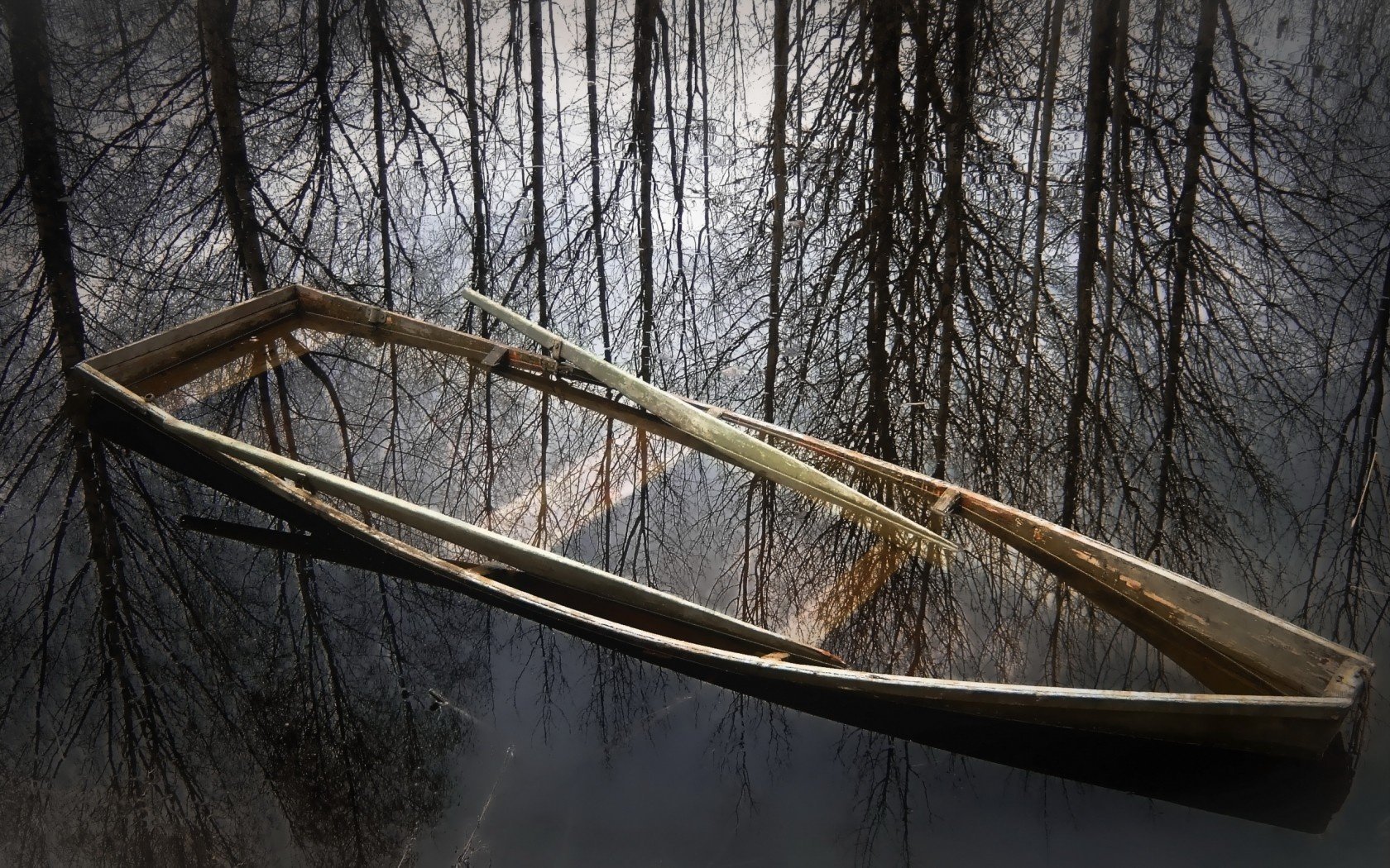 nature lake boat